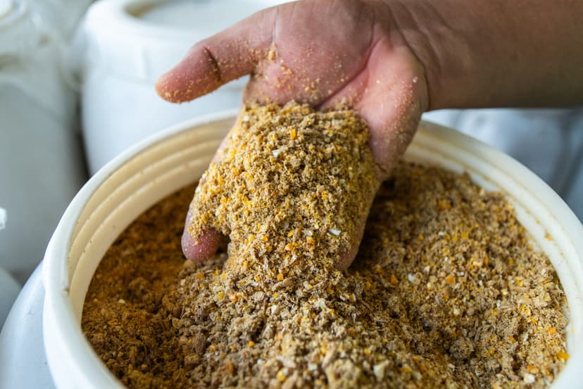 Sourdough-fermented, high-protein chicken feed made from surplus Bali seafood